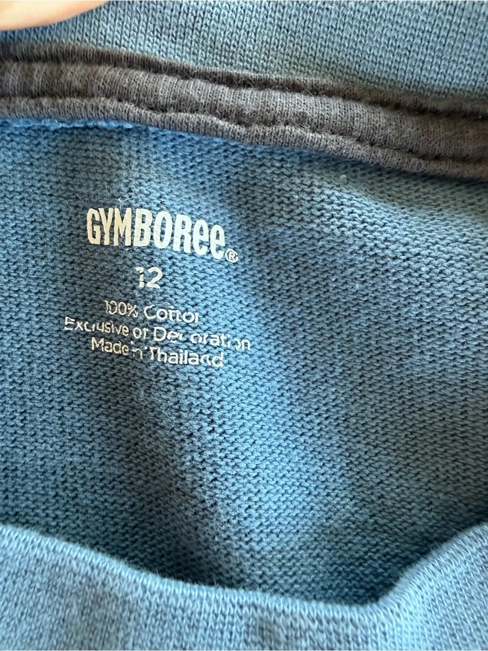 Gymboree Dusty Blue Crewneck Sweater with Subtle Graphic